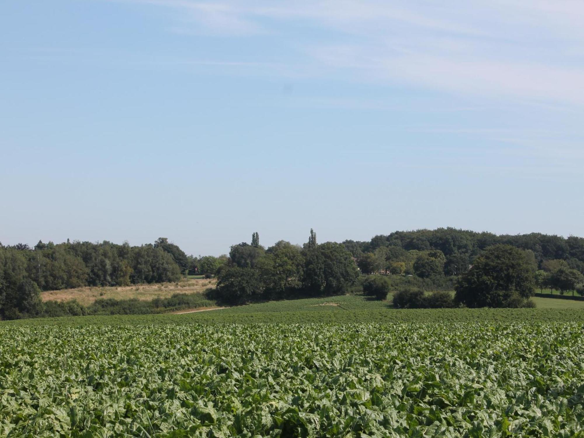 Landsraderhoefke - 4 Heijenrath Exteriör bild