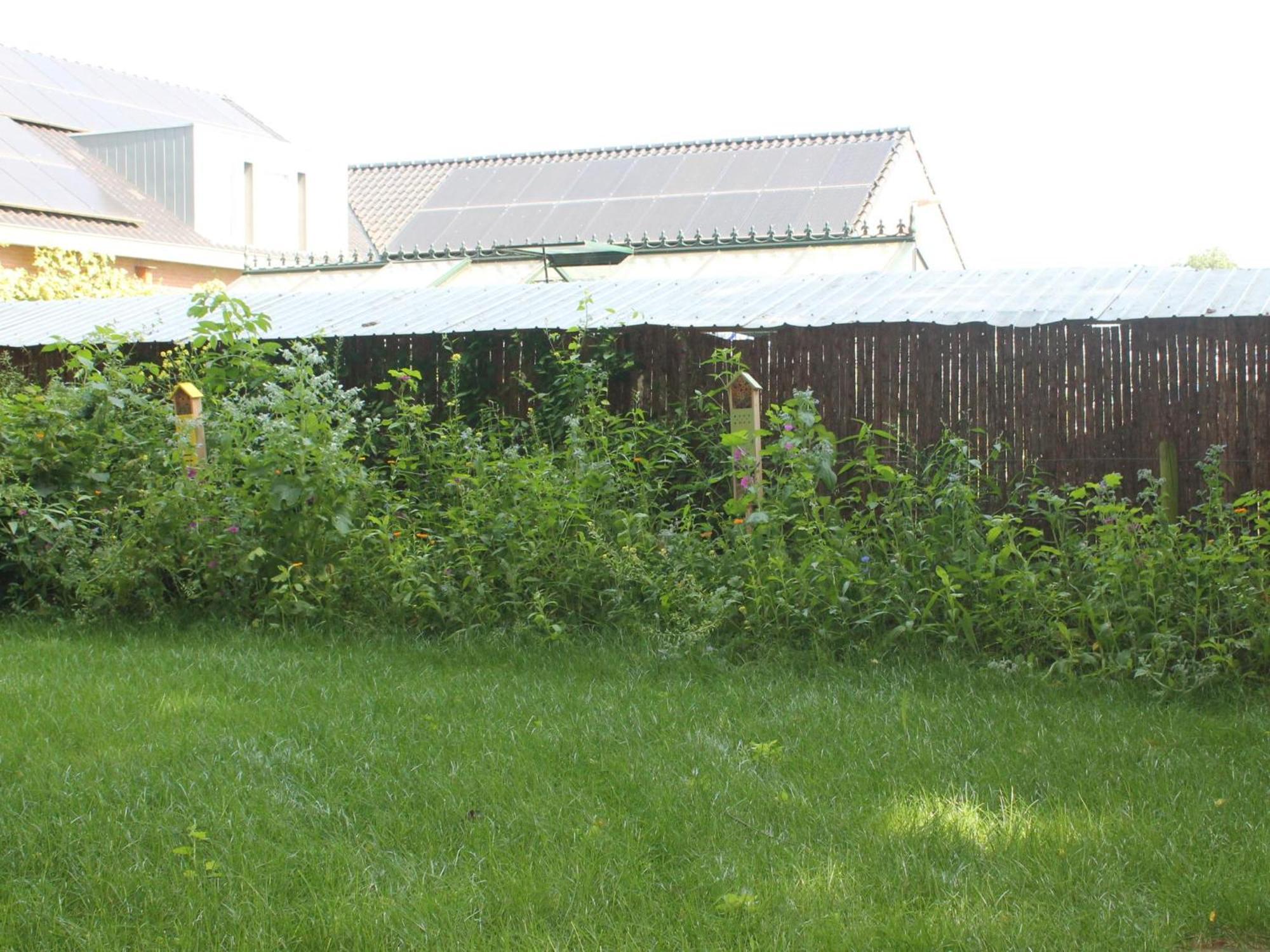 Landsraderhoefke - 4 Heijenrath Exteriör bild
