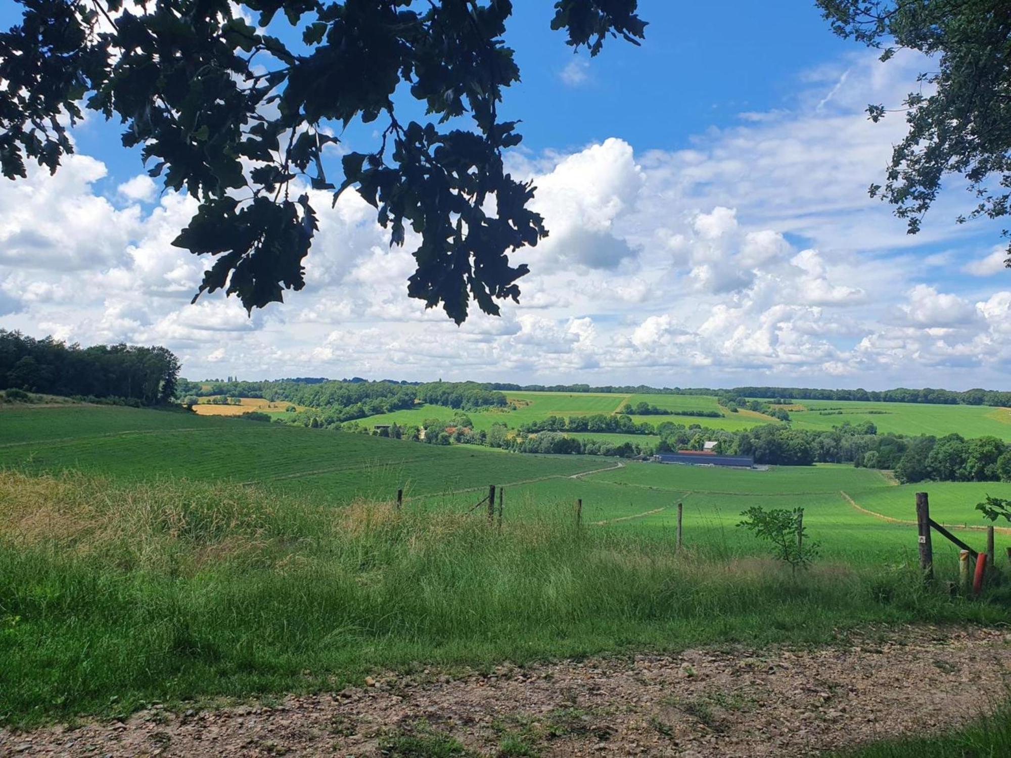 Landsraderhoefke - 4 Heijenrath Exteriör bild